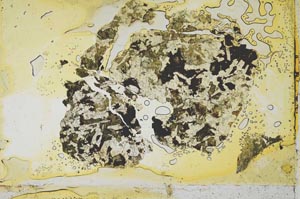Plane Polarized, S1777