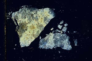 Cross Polarized, S1787