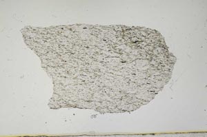 Plane Polarized, S1789
