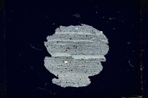 Cross Polarized, S1791