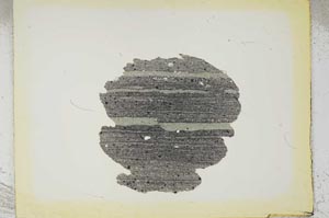 Plane Polarized, S1791