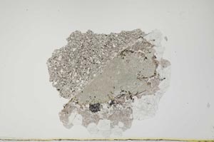 Plane Polarized, S1794