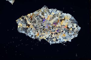 Cross Polarized, S1795