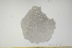 Plane Polarized, S1796