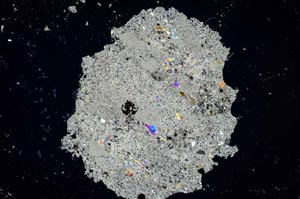 Cross Polarized, S1797