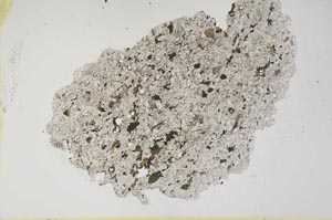 Plane Polarized, S1815/a