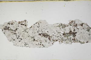 Plane Polarized, S1826