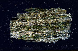 Cross Polarized, S1841