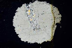 Cross Polarized, S1842