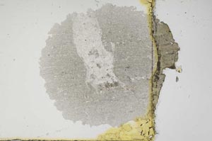 Plane Polarized, S1842