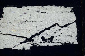 Cross Polarized, S1842/a