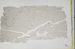 Plane Polarized, S1842/a