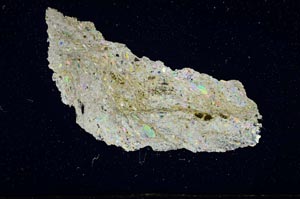 Cross Polarized, S1843