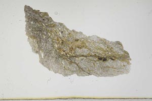 Plane Polarized, S1843