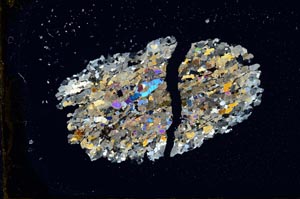 Cross Polarized, S1844