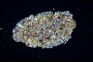 Cross Polarized, S1845