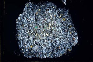 Cross Polarized, S1845/a