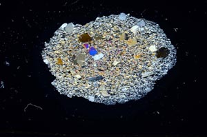 Cross Polarized, S1846