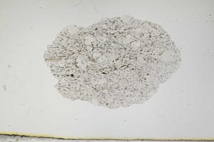 Plane Polarized, S1846