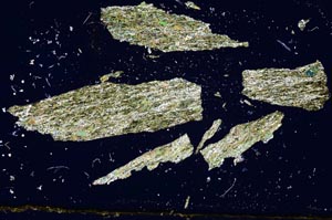 Cross Polarized, S1850