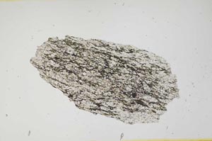 Plane Polarized, S1854