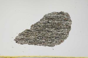 Plane Polarized, S1856