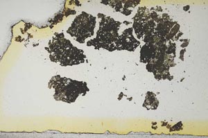 Plane Polarized, S1869