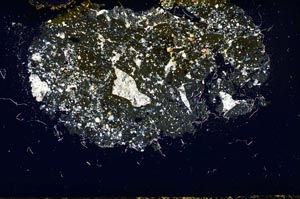 Cross Polarized, S1870
