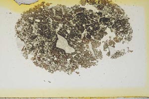 Plane Polarized, S1870