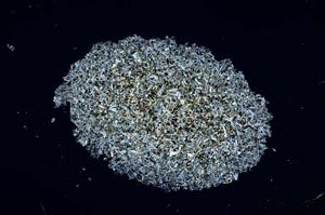 Cross Polarized, S1879