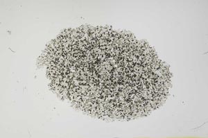 Plane Polarized, S1879