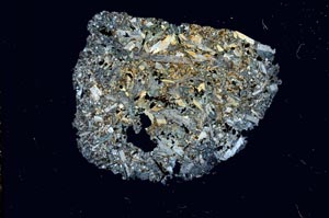 Cross Polarized, S1884