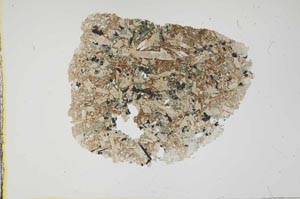 Plane Polarized, S1884