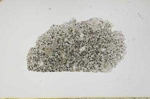 Plane Polarized, S1885