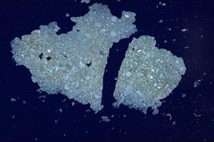 Cross Polarized, S1892