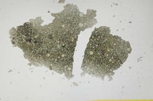 Plane Polarized, S1892