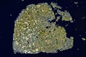 Cross Polarized, S1894