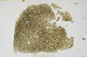 Plane Polarized, S1894