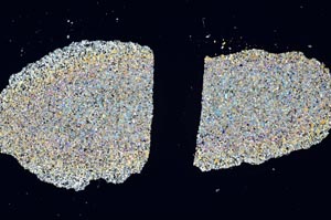 Cross Polarized, S1896