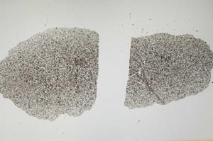 Plane Polarized, S1896