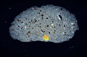 Cross Polarized, S1899