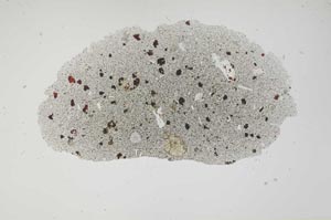 Plane Polarized, S1899