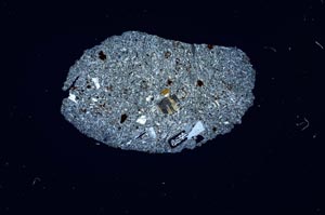 Cross Polarized, S1900