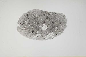 Plane Polarized, S1900