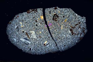 Cross Polarized, S1903