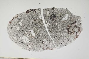 Plane Polarized, S1903