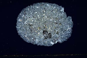 Cross Polarized, S1907