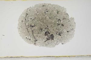 Plane Polarized, S1907