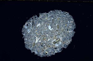 Cross Polarized, S1908