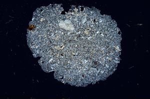 Cross Polarized, S1918